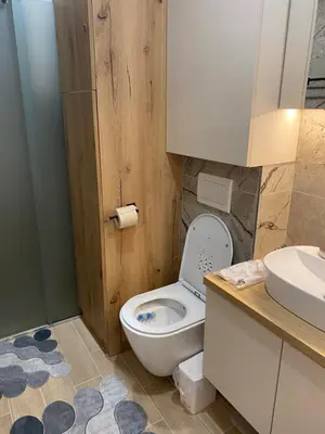 a bathroom with a toilet and a sink at Magia Vido Apartment-President Kop A109 in Kopaonik