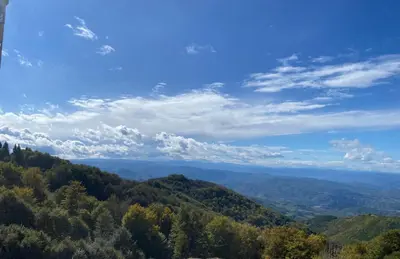 a view from the top of a mountain with trees at Magia Vido Apartment-President Kop A109 in Kopaonik