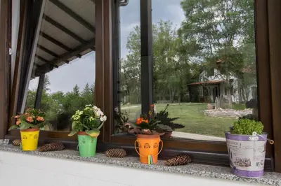 a window with potted plants on a window sill at Apartmani 