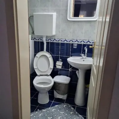a small bathroom with a toilet and a sink at Studio Sestica vila Lenka2 in Vrnjačka Banja