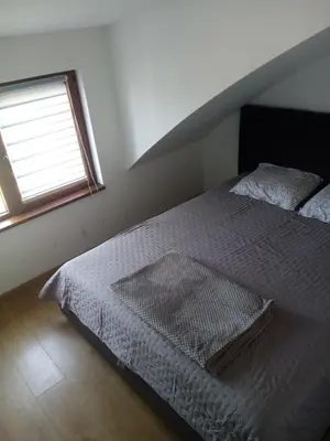 a bedroom with a bed and a window at Apartman Petrovic in Vrnjačka Banja