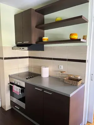a kitchen with a stove and a counter top at Cozy place for a perfect trip next to Delta Planet in Niš