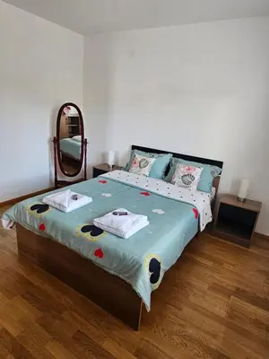 a bedroom with a large bed with a mirror at Apartman Nina in Soko Banja
