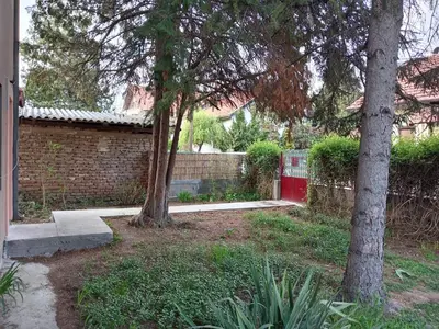 a yard with two trees and a fence at Zen apartman in Zaječar