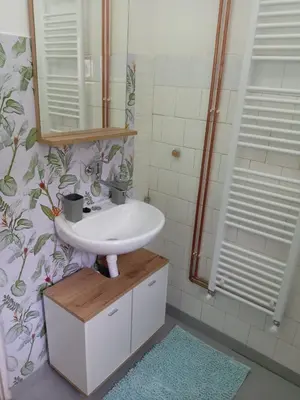 a bathroom with a sink and a shower at Zen apartman in Zaječar