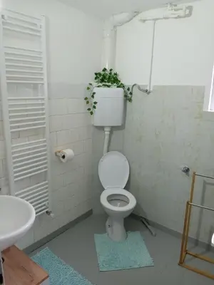 a bathroom with a toilet with a plant above it at Zen apartman in Zaječar