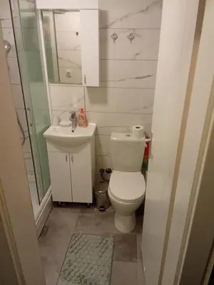 a small bathroom with a toilet and a sink at Banjski Raj in Vrnjačka Banja