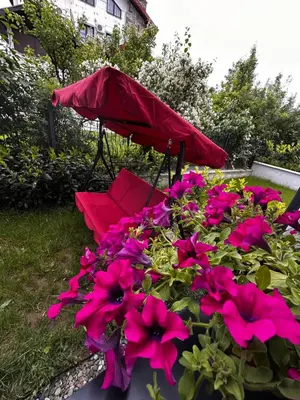 a red umbrella in a bed of pink flowers at Apartman Vuk in Vrnjačka Banja