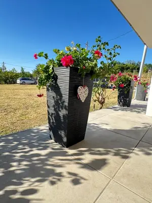 a black planter with red flowers and a heart at Villa Perla in Despotovac