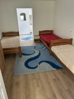 a room with two beds and a blue carpet at Sobe Miloš Dimić in Sijarinska Banja