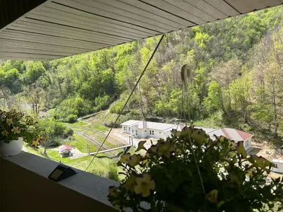 a view of a house from a window with flowers at Sobe Miloš Dimić in Sijarinska Banja