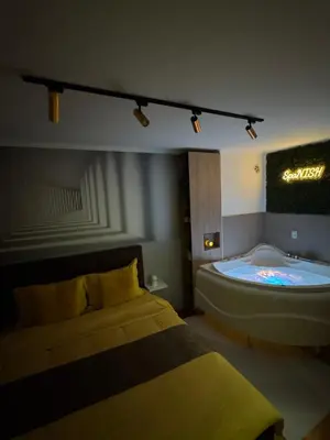 a bedroom with a bed and a bath tub at SpaNish apartman 4 in Niš