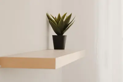 a plant in a black pot on a white shelf at Apartman ELEVEN in Kraljevo