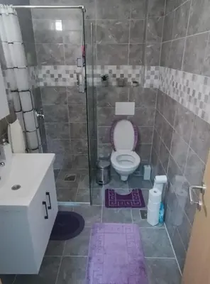 a small bathroom with a toilet and a shower at Apartman Kety Sokobanja in Soko Banja