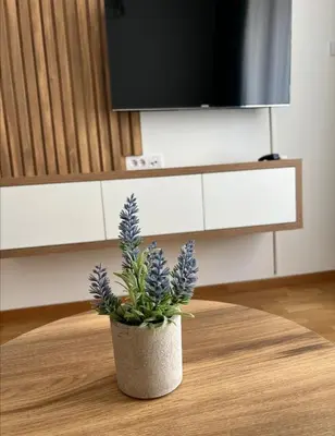 a potted plant sitting on top of a table at Apartman TRIP in Soko Banja
