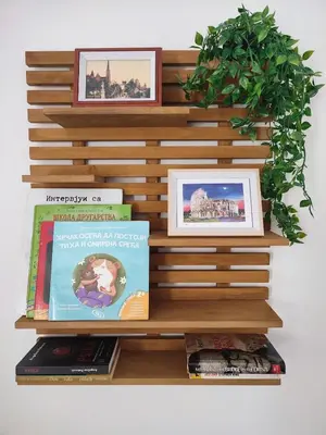 a book shelf with books and a plant at Zvuk Treske in Kopaonik