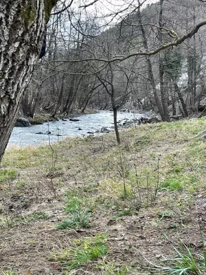 a river in a field with trees and a riverensionalensionalensionalensionalensionalensional at Borjak vikendica in Kamenica