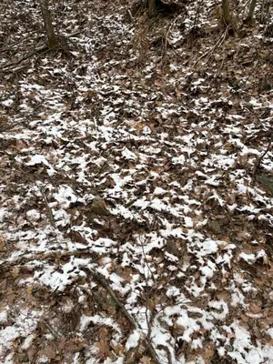a pile of snow on the ground in the woods at Borjak vikendica in Kamenica