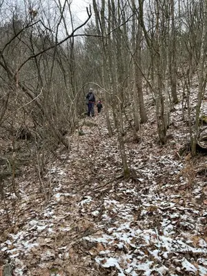 a person walking down a snow covered trail in the woods at Borjak vikendica in Kamenica