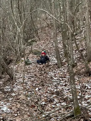 a child sitting in the middle of the woods at Borjak vikendica in Kamenica