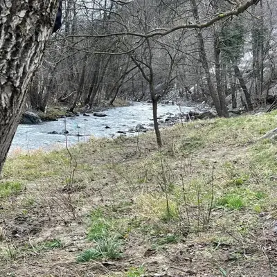 Borjak vikendica