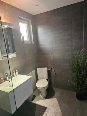 a bathroom with a toilet and a sink and a mirror at Ivys apartman in Ćuprija