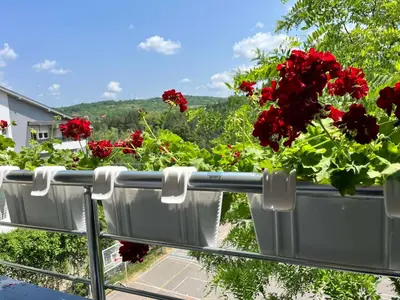 a balcony with red flowers on top of it at Mk Lux Apartman in Soko Banja