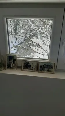 a window in a room with pictures on a shelf at Vikendica Borjak in Kraljevo