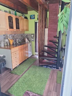 a kitchen with green walls and a spiral staircase at Vikendica Borjak in Kraljevo