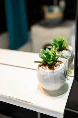 two potted plants sitting on a white table at Apartman Maja in Niš