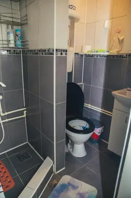 a small bathroom with a toilet and a shower at Plan B in Niš