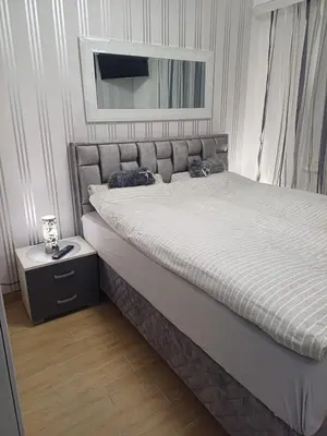 a bedroom with a large bed and a mirror at Apartman Dolly Vrnjacka banja in Vrnjačka Banja