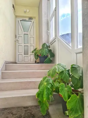 a front door with two potted plants in front of it at Vila Aleksandra 2 Apartman 6 in Soko Banja