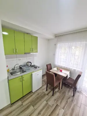 a kitchen with green cabinets and a table and chairs at Vila Aleksandra 2 Apartman 6 in Soko Banja