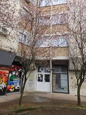 a building with two trees in front of it at Anastasija Lux 2 in Paraćin