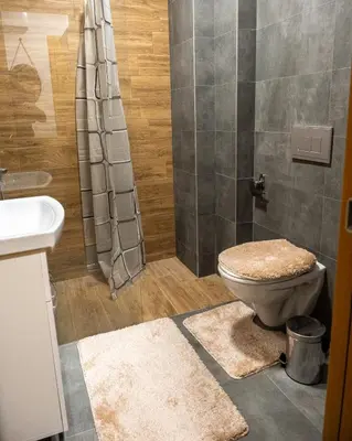 a bathroom with a toilet and a shower at Toplina Doma Sokobanja in Soko Banja