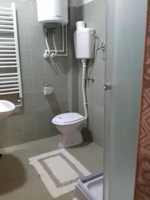 a bathroom with a toilet and a sink at Guest House Dimitrije in Niška Banja