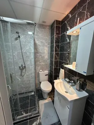 a bathroom with a shower and a toilet and a sink at Apartman Stević in Vrnjci
