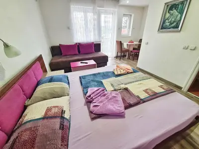 a bedroom with a bed and a living room at Vila Aleksandra 2 Studio 9 in Soko Banja