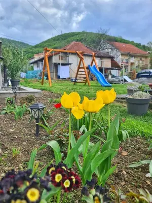 a garden with yellow flowers and a playground at Vila Aleksandra 2 Studio 9 in Soko Banja