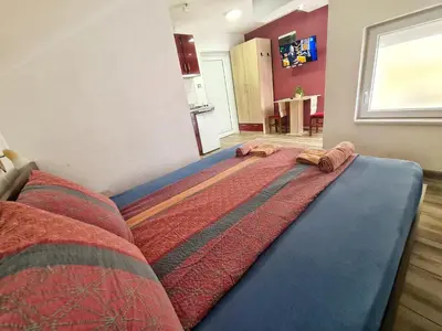 Gallery image of Vila Aleksandra 2 Studio 16 in Soko Banja