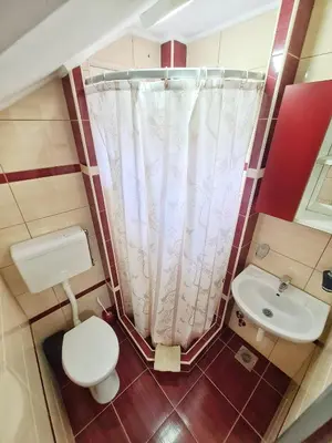 a small bathroom with a toilet and a sink at Vila Aleksandra 2 Studio 16 in Soko Banja