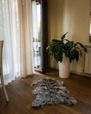 a furry rug on the floor next to a potted plant at Apartman Korićanac I Vrnjačka Banja in Vrnjačka Banja