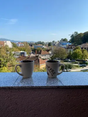 two coffee cups sitting on top of a ledge at Apartman Đalić in Vrnjačka Banja