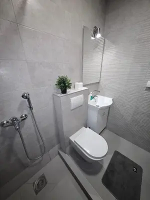 a bathroom with a toilet and a sink and a shower at Apartmani Čokić Sokobanja in Soko Banja