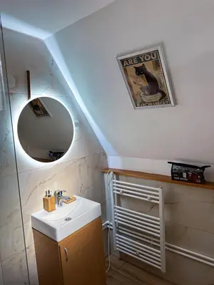 a bathroom with a sink and a mirror at Kod Lutajuceg in Despotovac