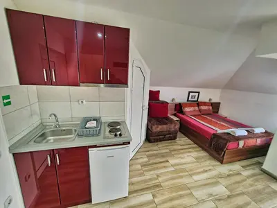 a kitchen with a sink and a bed in a room at Vila Aleksandra 2 Studio 13 in Soko Banja