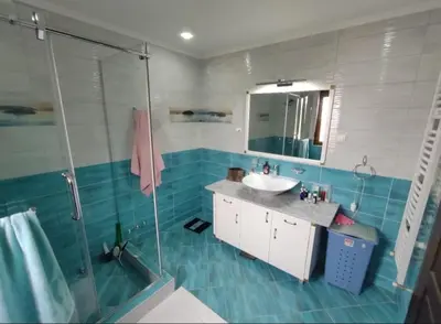 a bathroom with a sink and a glass shower at Village House Gracac in Ðurovići