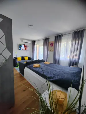 a bedroom with a large bed and a couch at OgiApartman in Vrnjačka Banja