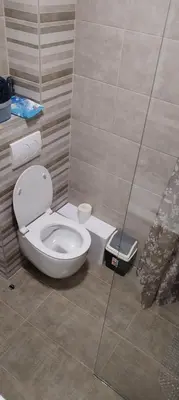 a bathroom with a white toilet in a room at Mila in Soko Banja